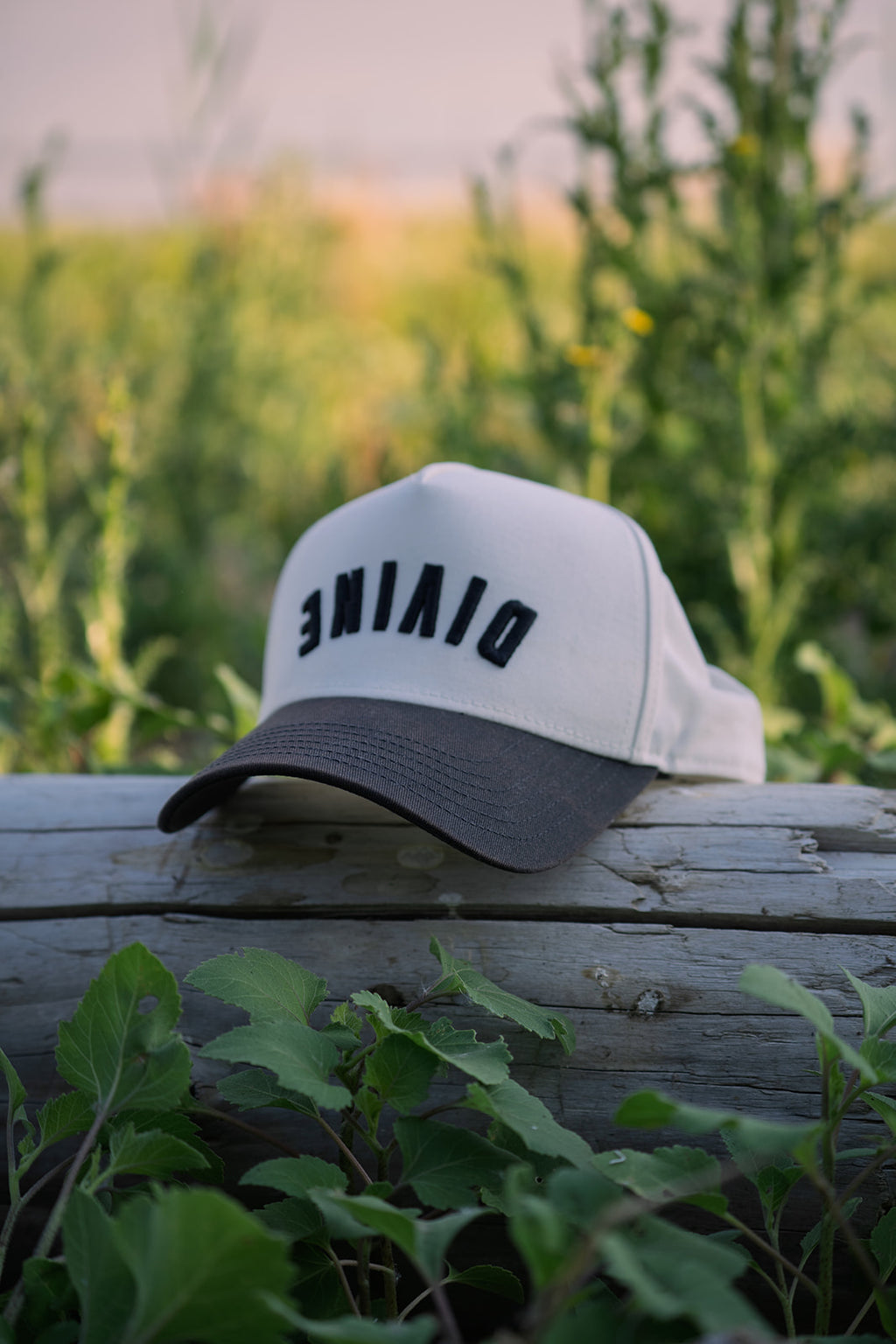 DIVINE HAT